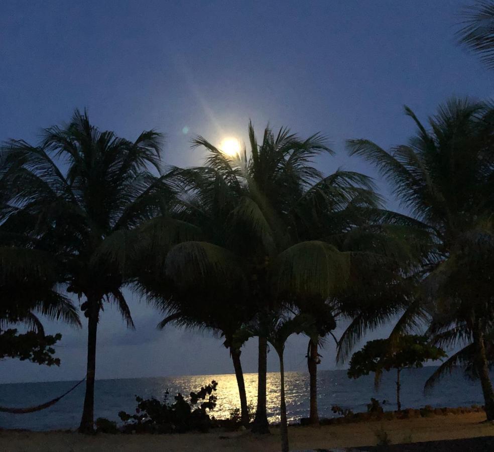Lost Reef Resort Riversdale Zewnętrze zdjęcie